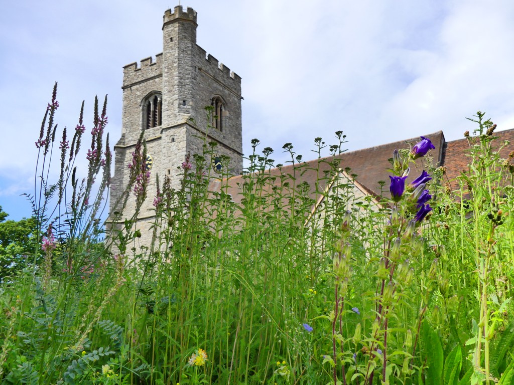 Henry Downing: the effect on a young family of the death of a&nbsp;parent