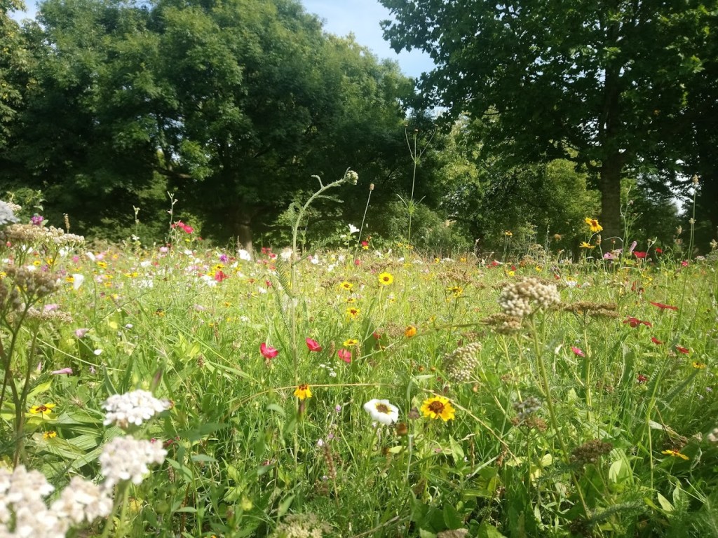 Richard Whibley: Green&nbsp;Fingers